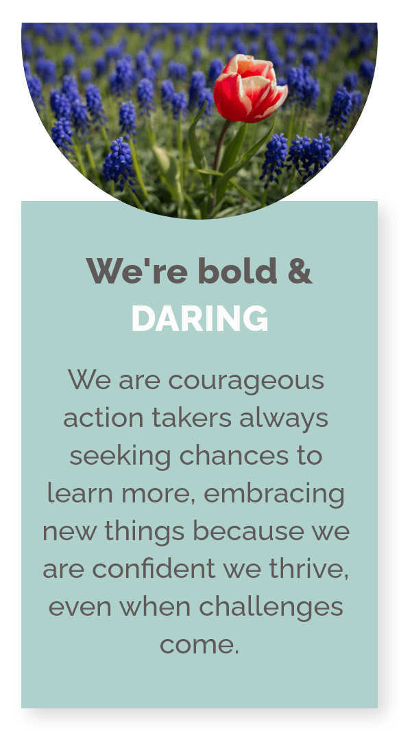 session 6 bold & daring w text