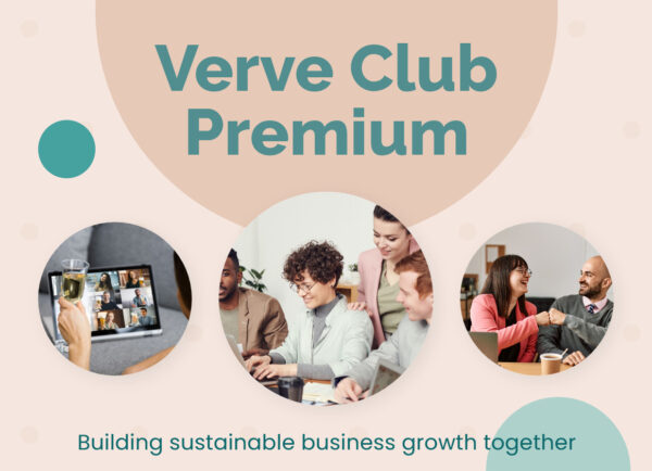 small business mentoring verve club