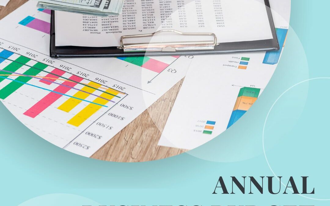 Annual Business Budget