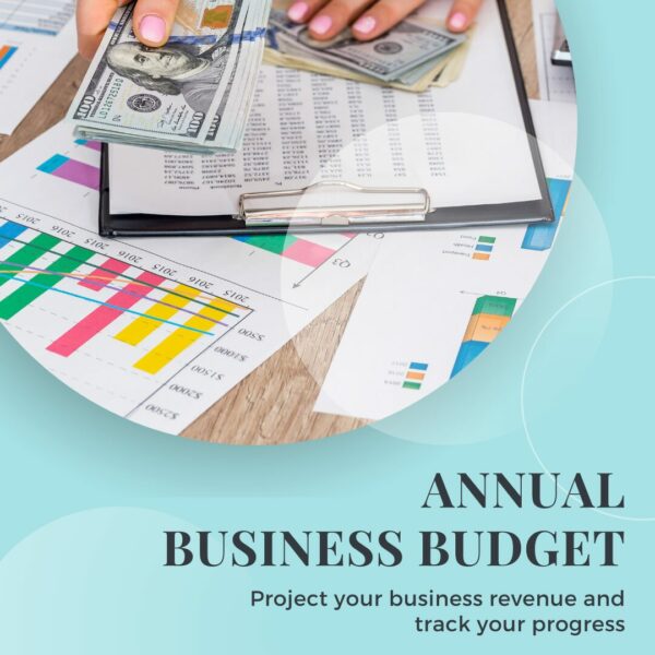 annual business budget