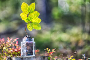 A small green plant sprouting from a pile of coins, symbolising financial growth and success.